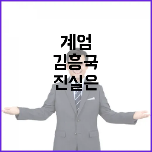 계엄나비 공격 김흥…