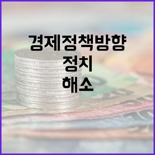 경제정책 방향 정치…