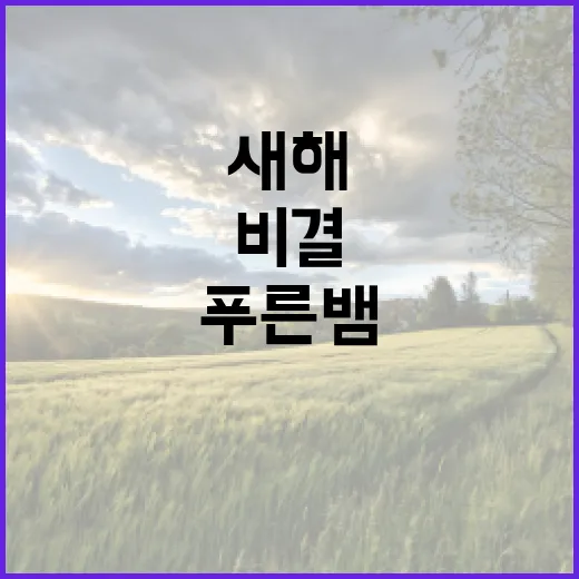 푸른 뱀 새해 건강 비결 공개합니다!