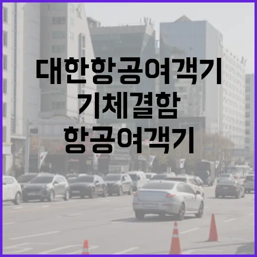 대한항공 여객기 기체 결함으로 긴급 항공기 교체!