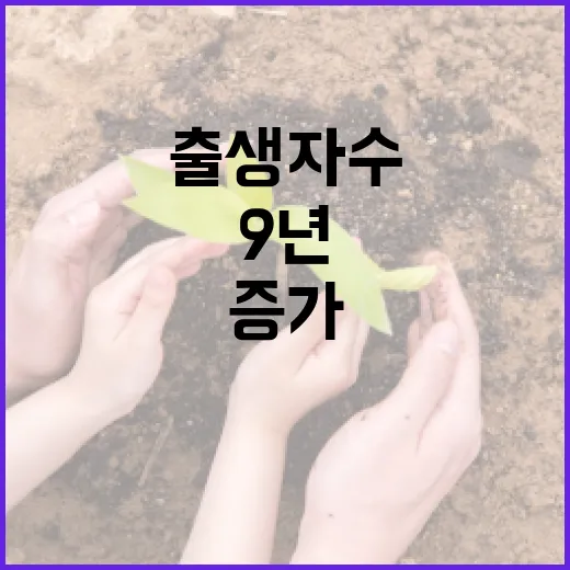 출생자 수 증가 지…