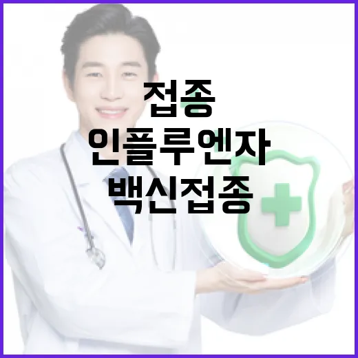 인플루엔자 최고 기록 백신 접종 urgent!