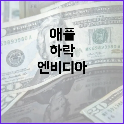 애플 하락 엔비디아…