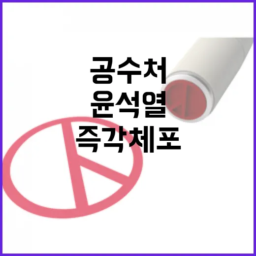 공수처 자중하라! 민주당 윤석열 즉각 체포 요구!