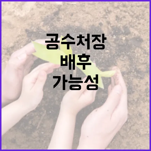 공수처장 무식? 배…