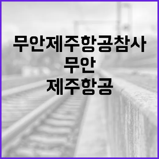 무안 제주항공 참사…