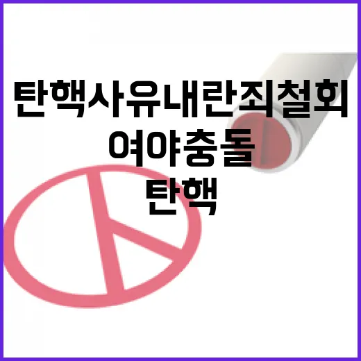 탄핵사유 내란죄 철…