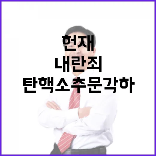 헌재 내란죄 제외 …