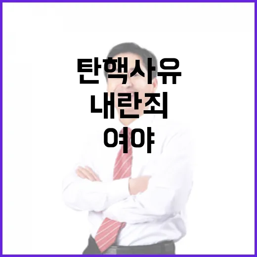 탄핵사유 충돌 여야의 내란죄 논쟁 심화!