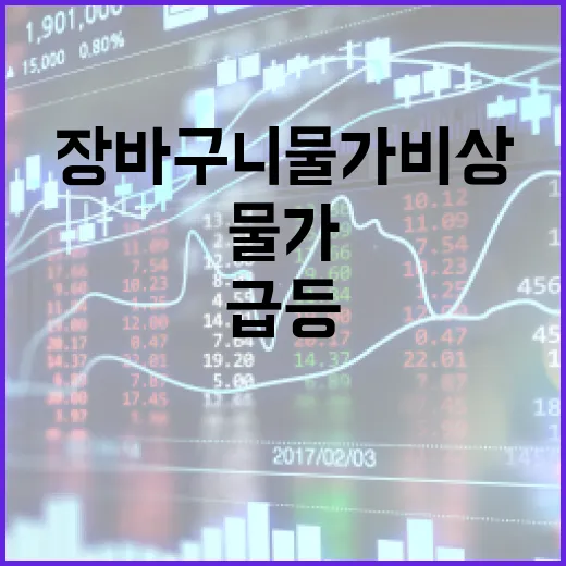 배추 가격 급등 장바구니 물가 비상 경고!