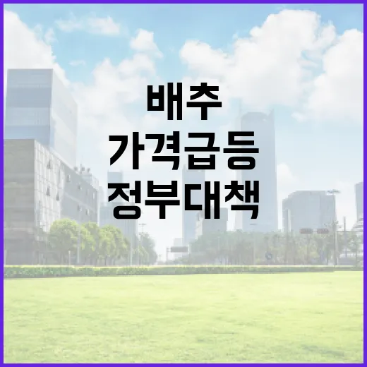 배추·무 가격 급등! 정부 대책은 무엇인가?