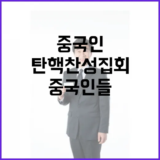 탄핵 찬성집회 중국…