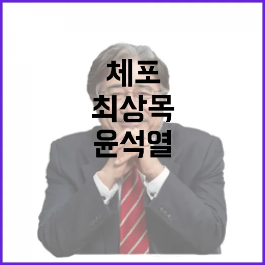 윤석열 체포 최상목…