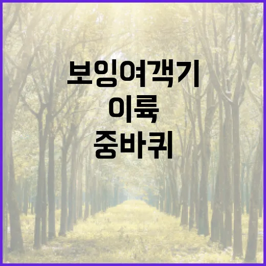 보잉 여객기 호주 …