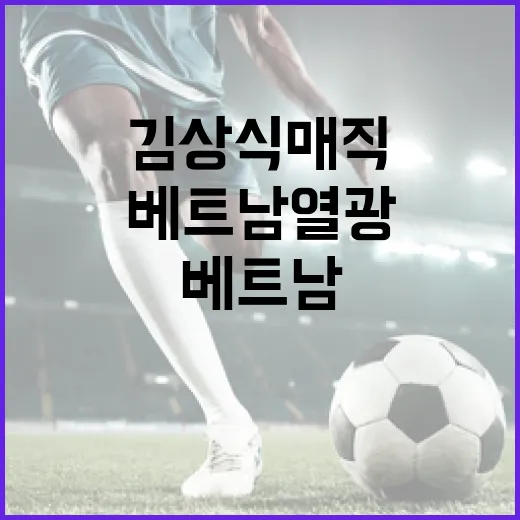 김상식 매직 베트남 열광! 동남아 축구 우승?