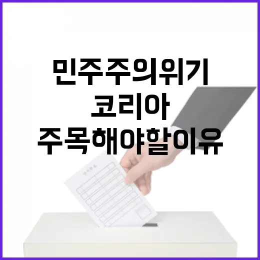 피크 코리아 민주주…