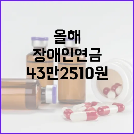 장애인연금 올해 43만 2510원으로 인상됐다!