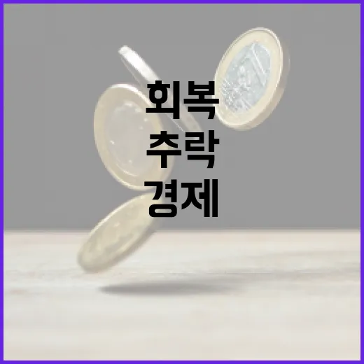 경제 회복과 추락 …