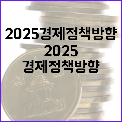 2025 경제정책방…