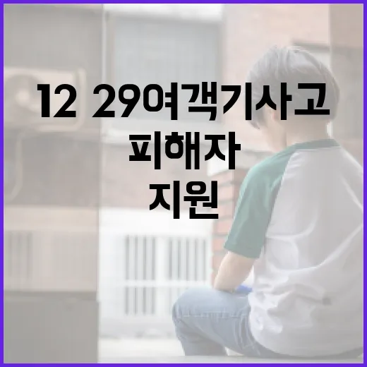 ‘12·29 여객기…