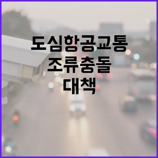 조류 충돌 안전 국…