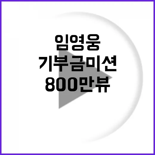 임영웅 800만뷰 …