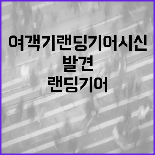 여객기 랜딩기어 시…