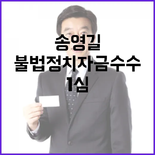 송영길 불법 정치자…