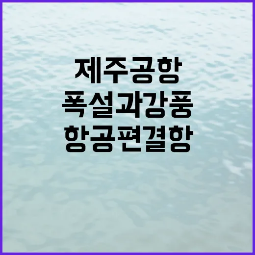 폭설과 강풍의 제주공항 항공편 결항 속출!