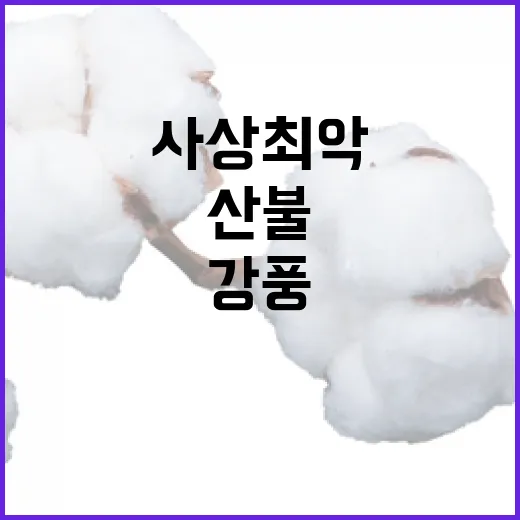 산불 확산 사상 최…