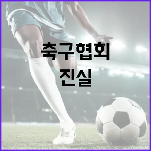 축구협회 동네 계모임 진실 밝힌다!