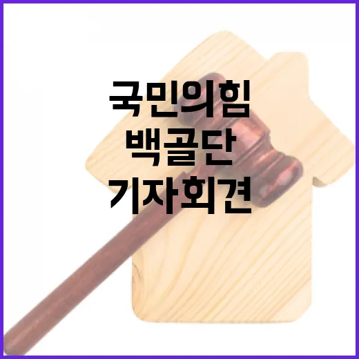 백골단 기자회견 국민의힘 후폭풍 대응 나선다!