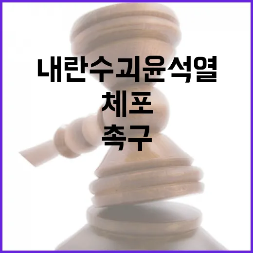 체포 촉구 한국노총 내란수괴 윤석열 논란!