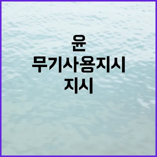 야당 주장 윤 무기…