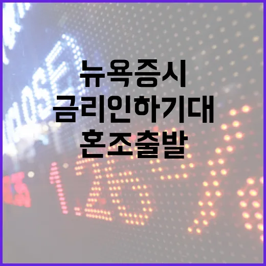 금리인하 기대 뉴욕…