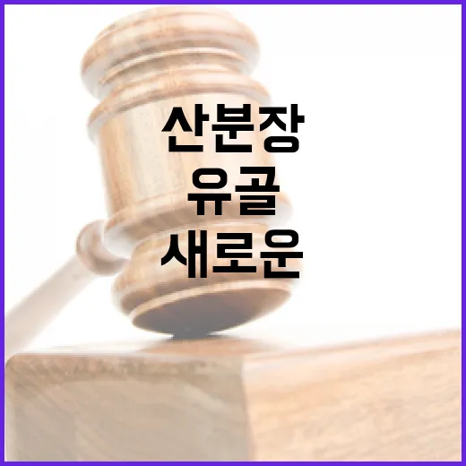 산분장 새로운 선택…