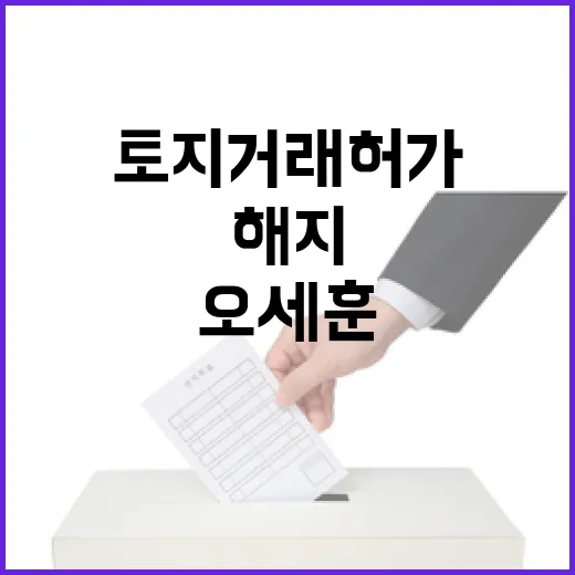 강남 토지거래허가 …