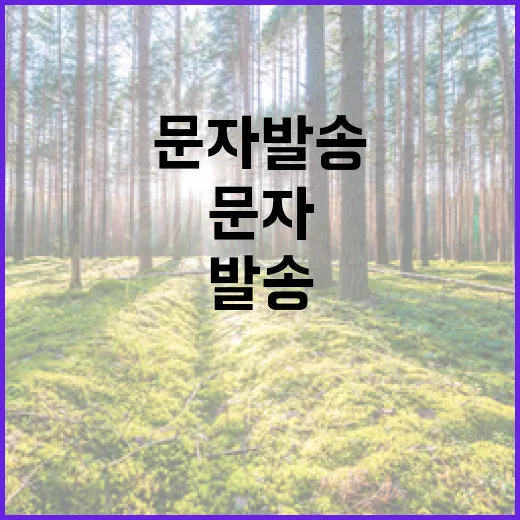 눈 안내문자 발송! 필수 정보 놓치지 마세요!