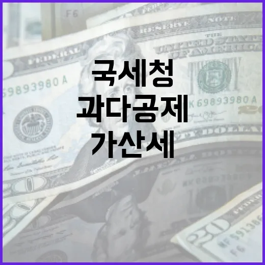 과다공제 가산세? …