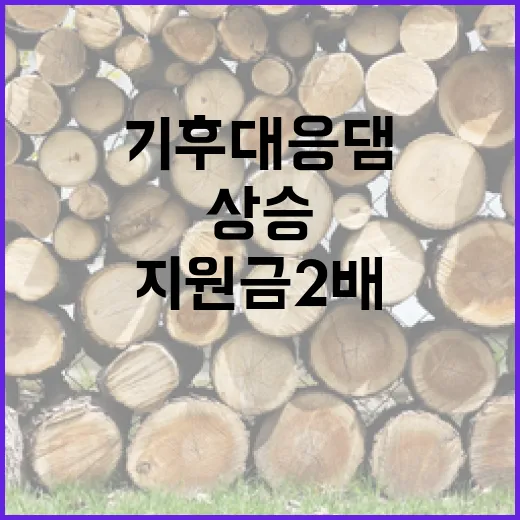 기후대응댐 지원금 …