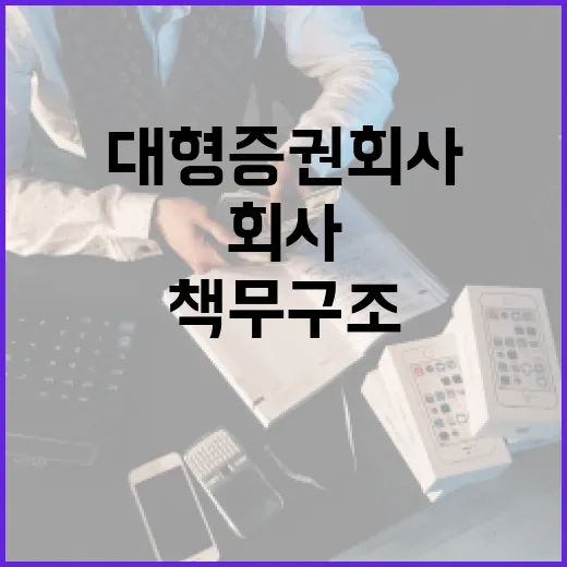 대형 증권회사 시범…