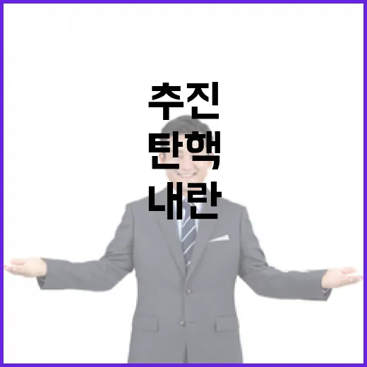 탄핵 정국 야당의 …