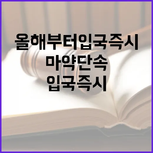 마약 단속…올해부터 입국 즉시 강화된다!