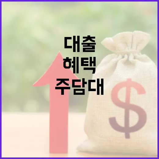 이자부담 주담대·전…