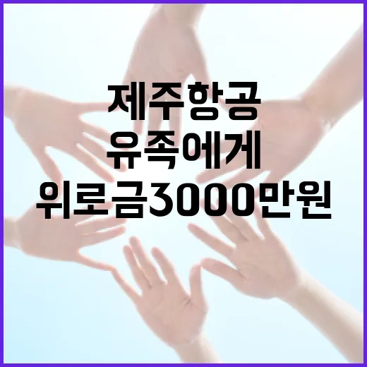 위로금 3000만 원 제주항공 유족에게 지급 결정!