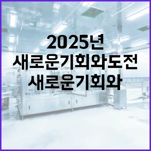 2025년 변화 새로운 기회와 도전이 다가온다!