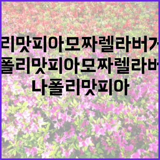 나폴리맛피아 모짜렐…