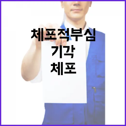 체포적부심 기각 윤…