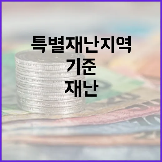 특별재난지역 체납자 출국관리 강화된 기준!