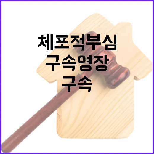 체포적부심 구속영장 전망 여야 내란 특검법 논의!